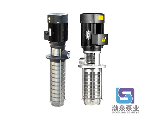 CDLKF1-20/2|浸入式多級(jí)離心泵